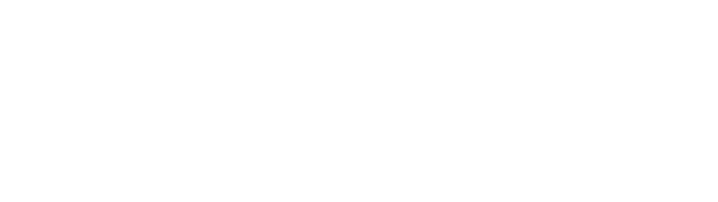 deez illusie — theaterproductie en creatie vzw